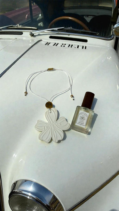 Galet parfumé voiture + Parfum 15ml