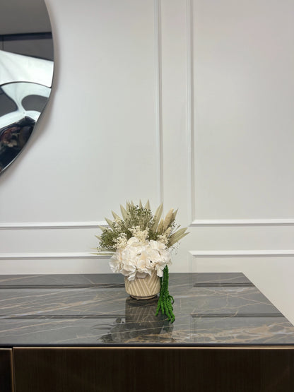 Fleur d'aube