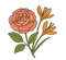 Rose du levant